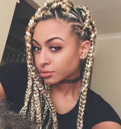 Dookie Braids with Blonde Highlights