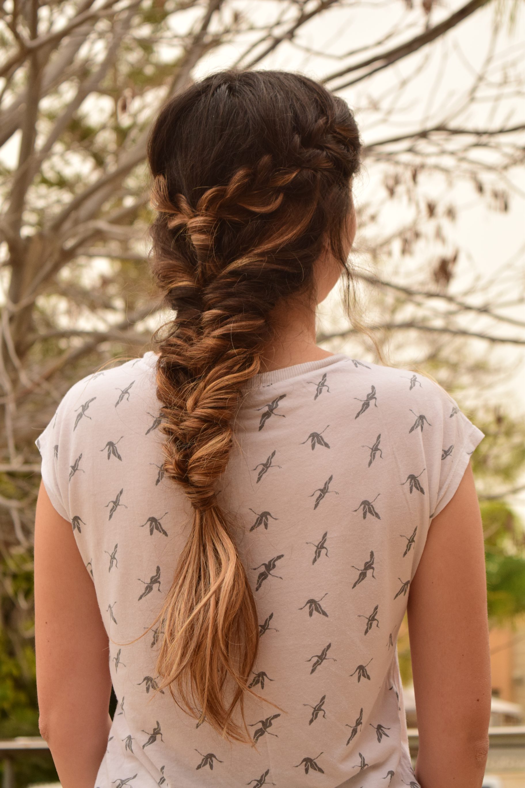 Double Side Fishtail Braid