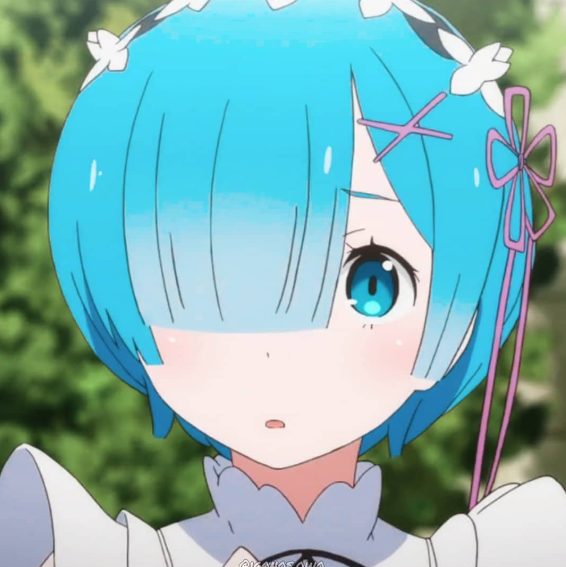  Rem