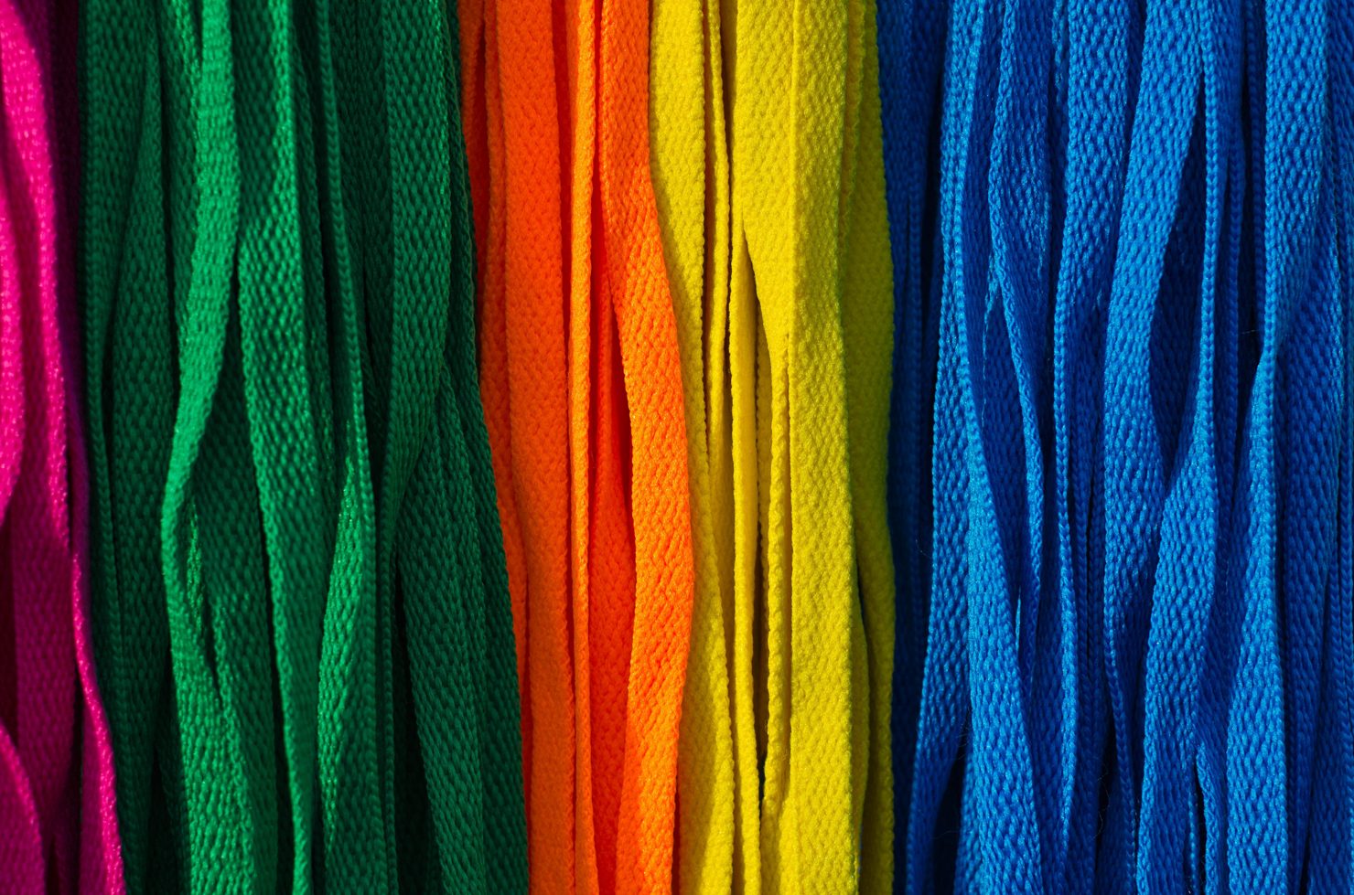 colorful shoelace
