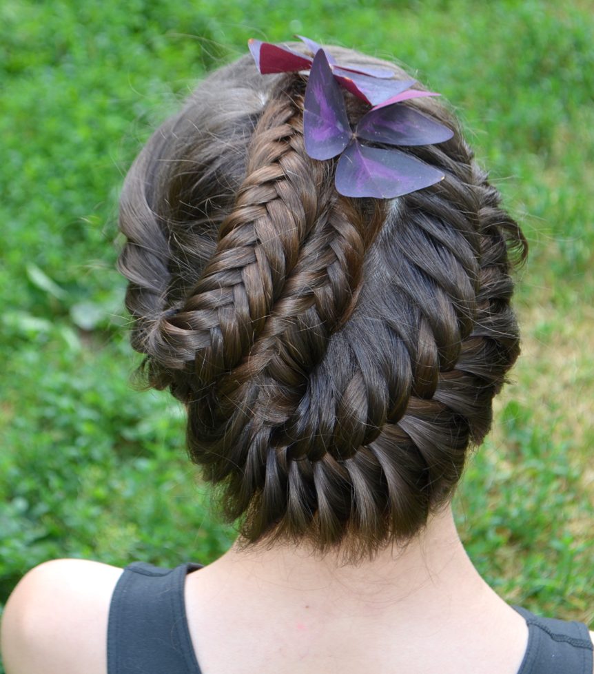 Pigtail Braids
