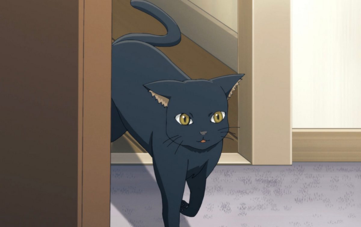 Kaya