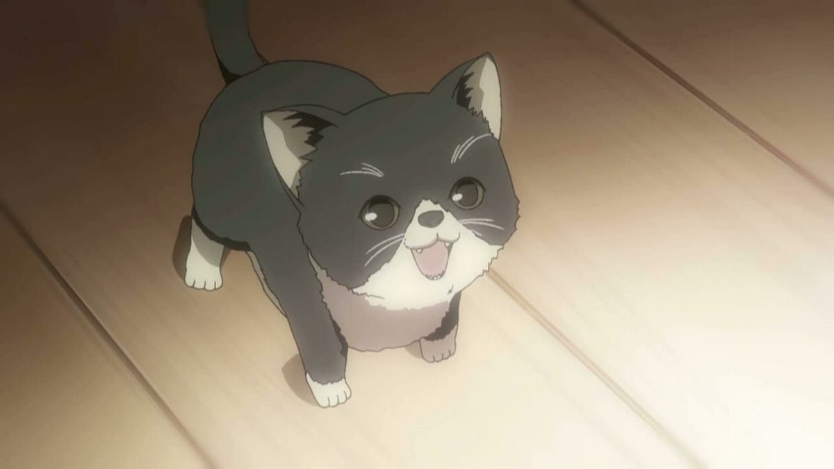 Sorata