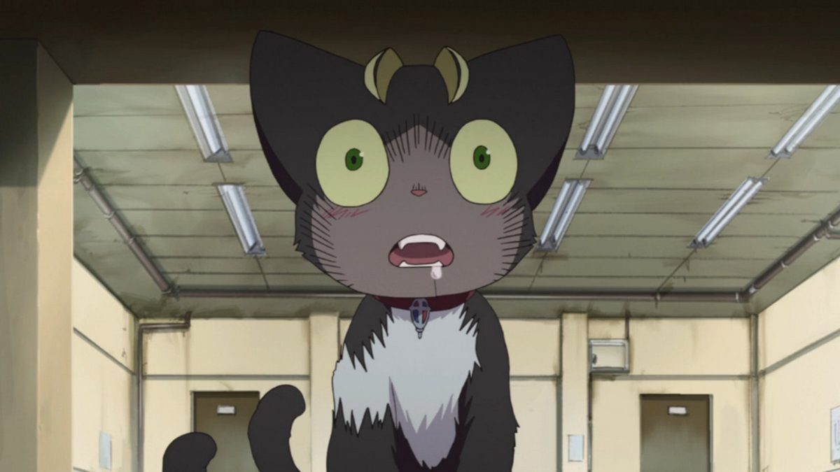 Kuro 