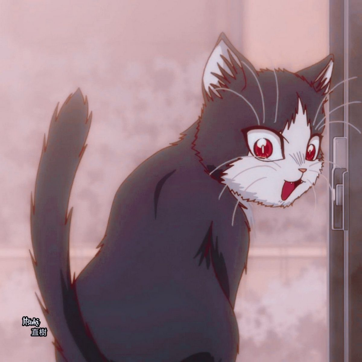 Haru Mikazuki