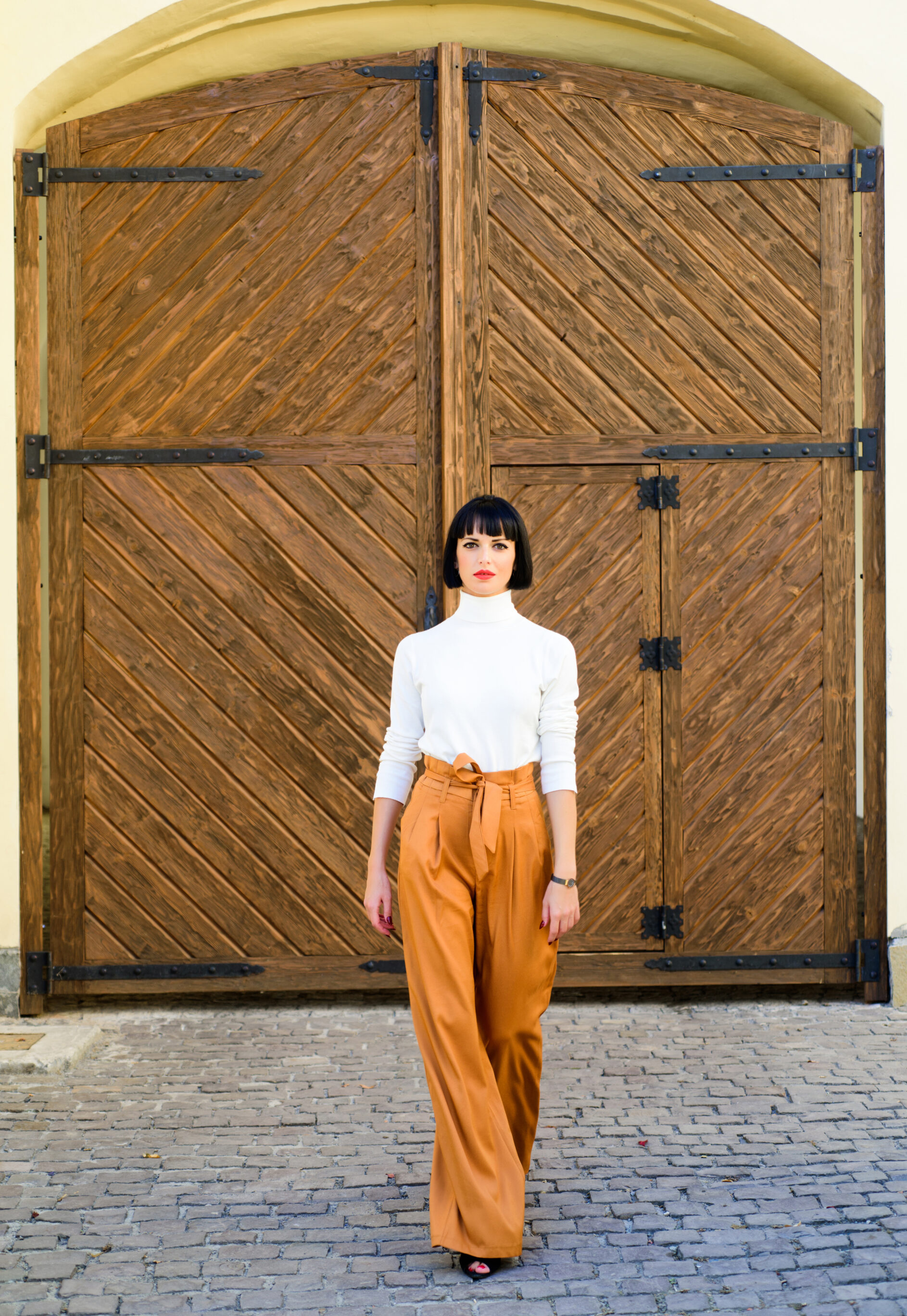 Turtleneck And High Waist Pants